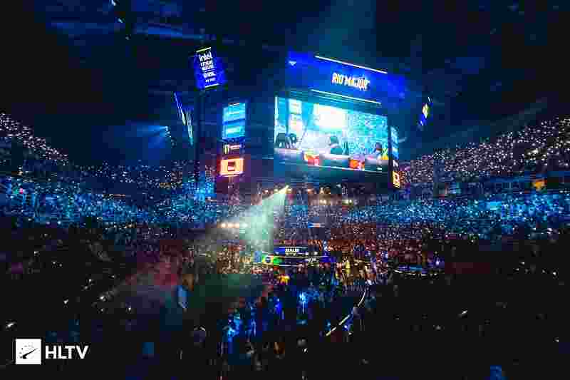 切特在车内 切特在车内