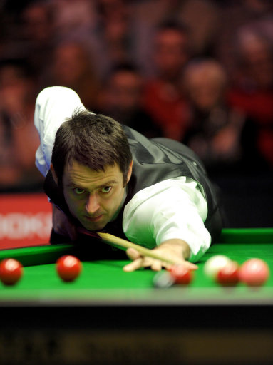 可爱的泰迪 可爱的泰迪